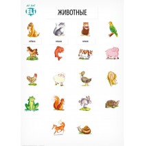 Plakat słówka rosyjskie: Животные 1 (zwierzęta 1) - 9788364730252