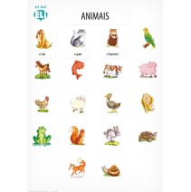 Cartazes lexicais activos - Animais – parte 1 (zwierzęta 1) - 9788364730733